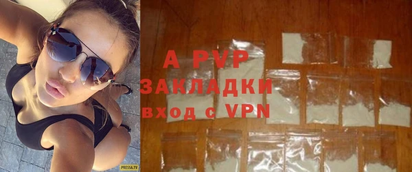 хмурый Аркадак