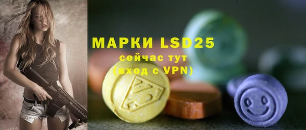 хмурый Аркадак