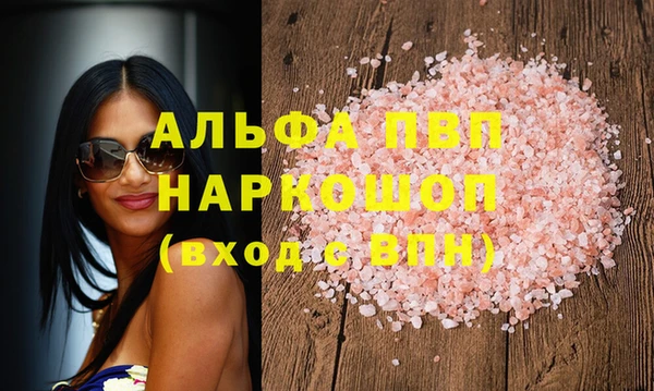 хмурый Аркадак