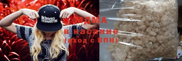 хмурый Аркадак