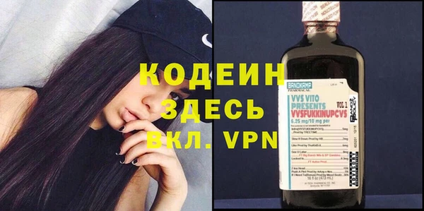 хмурый Аркадак