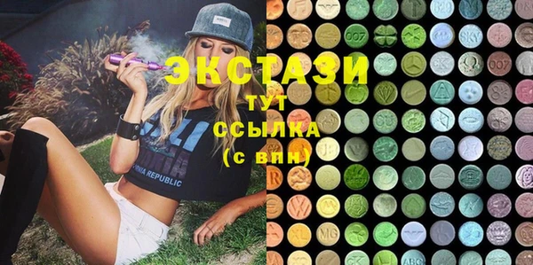 хмурый Аркадак