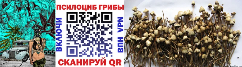 Галлюциногенные грибы GOLDEN TEACHER Лесной