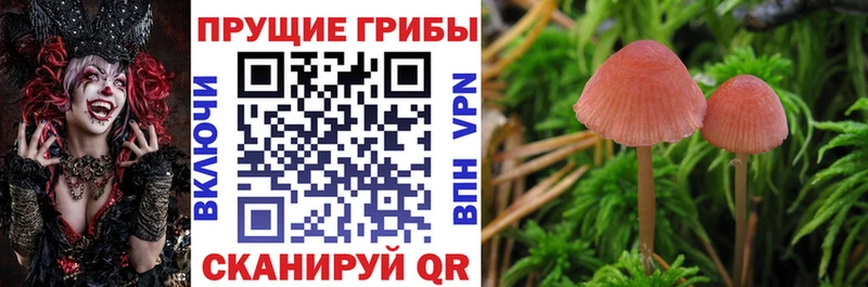 Галлюциногенные грибы мухоморы Лесной